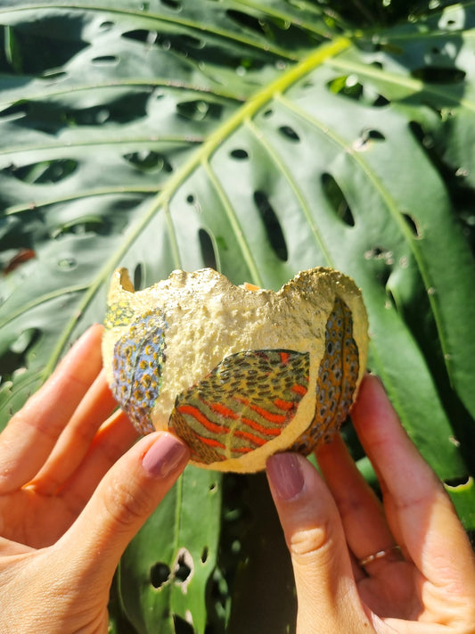 Vela Tropical
