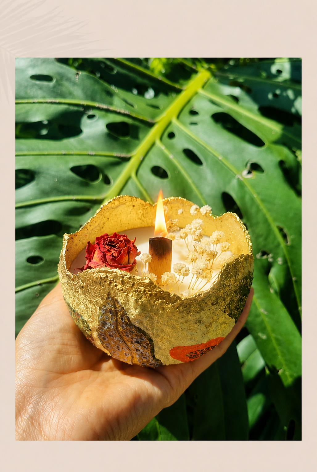 Vela Tropical