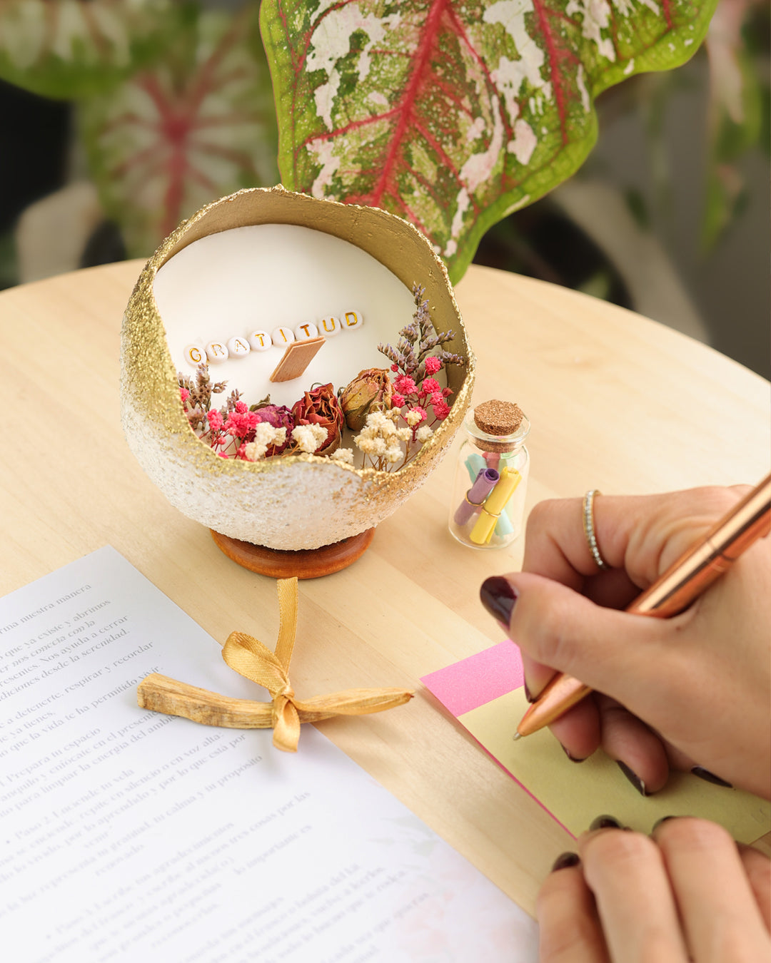 Kit de Gratitud